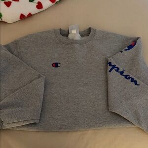 Champion Gray Sweatshirt